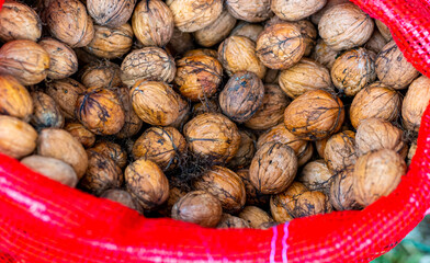 Fresh organic walnuts in red sack