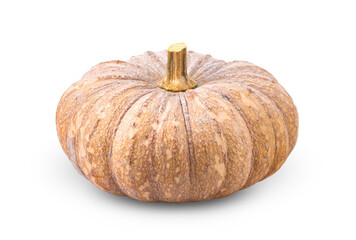 pumpkin isolated on transparent png