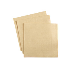 Bamboo Cleaning Cloth in Hand Isolated, Wipe Beige Rag, Biodegradable Cleaning Towel