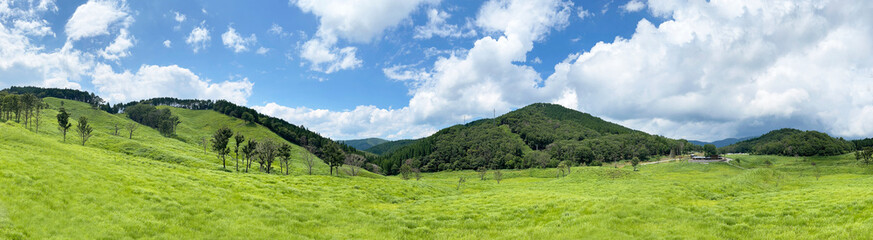 Fototapeta na wymiar 大自然の緑と青い空のパノラマ写真