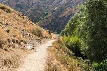Fototapeta na wymiar Narrow path in the gorge among the rocks in the mountains of Armenia.