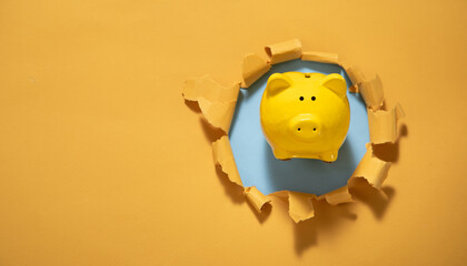 Piggy bank with a torn paper.