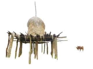 Fototapeta premium Paddy straw kept for animals in the field