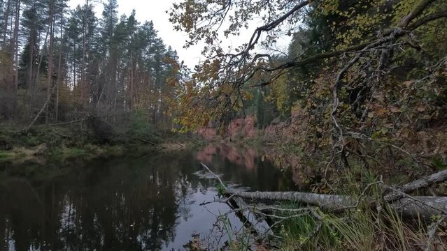 Nelku Red Sandstone Cliffs at the River Salaca in Skanaiskalns Nature Park in Mazsalaca in Latvia, Autumn Time. Sandstone Geological Formation