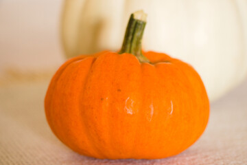 Orange pumpkin