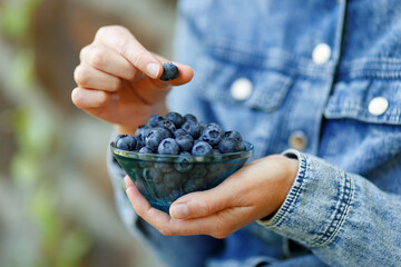Ripe berries in hand, handful of organic blueberries.
