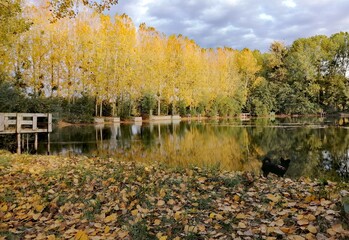 autumn in the park