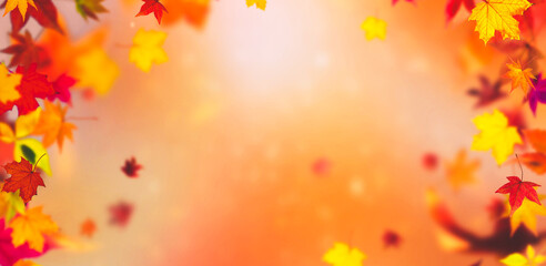 Falling autumn foiulage - background fpr autumn, fall, halloween and thanksgiving, much copyspace, autumn colors