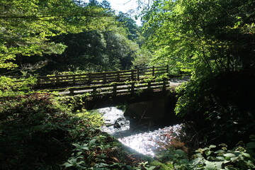 bridge over the river