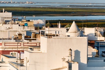 The terraces lined with balustrades are linked together by small stairs in the Cubist architecture...