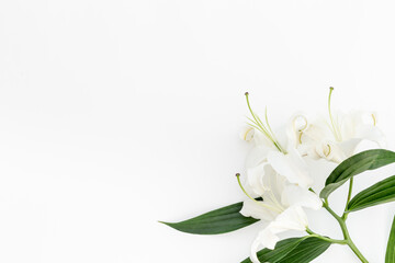 Naklejka na ściany i meble Branch of white lilies flowers. Mourning or funeral background