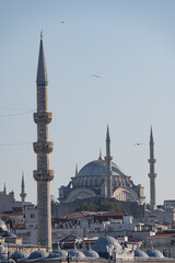 Fototapeta na wymiar Hagia Sophia, Aya Sofia next to the Bosphorous sea in Istanbul, Turkey