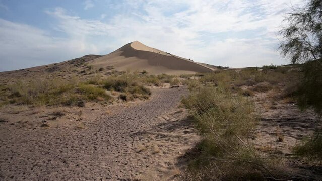 Altyn-Emel Singing Dune, dolly left saxaul tree steppe vegetation