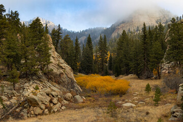 Obraz premium Auutmn in Colorado