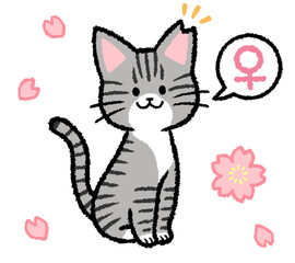 耳カットをされた雌のサバトラ猫