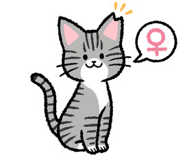 耳カットをされた雌のサバトラ猫