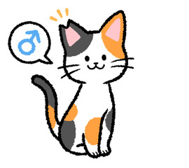 耳カットをされた雄の三毛猫