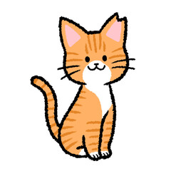 耳カットをされた雌の茶トラ猫