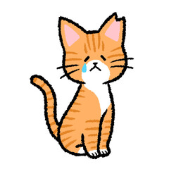 耳カットをされた雌の茶トラ猫