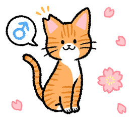 耳カットをされた雄の茶トラ猫