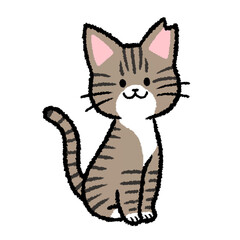 耳カットをされた雌のキジトラ猫