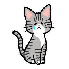 泣いているサバトラ猫