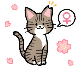 耳カットをされた雌のキジトラ猫