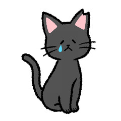 耳カットをされた雌の黒猫