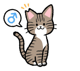 耳カットをされた雄のキジトラ猫