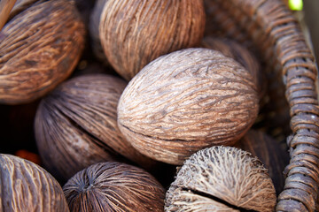 Buddha palm seeds background texture, selective focus