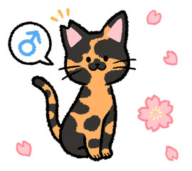 耳カットをされた雄のサビ猫