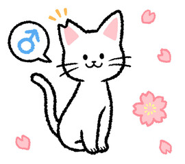 耳カットをされた雄の白猫