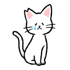 耳カットをされた雄の白猫