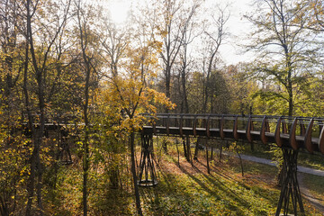 Wooden walkway bridge in the air in an autumn park in bright sunny day