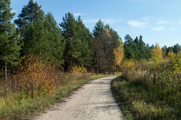 Fototapeta na wymiar Dirt road in the autumn forest