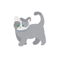 Happy cute cat, gray beautiful character for kids, vector