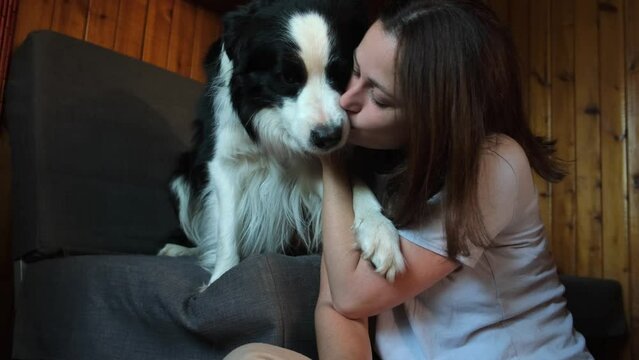 Smiling young woman stroking playing with cute puppy dog border collie on couch sofa at home indoor. Owner girl with pet dog friend resting hugging at home. Human and animal friendship concept