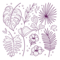 Tropical collection with exotic flowers and leaves. Vector illustrations in sketch style isolated on white background