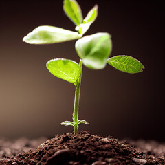 3d rendering of a new seedling growing in a small pile of dirt