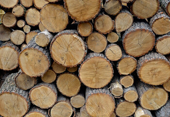 Wood log pile background