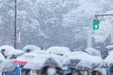 雪が降った東京