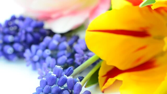 Spring bouquet. Shooting on a white background