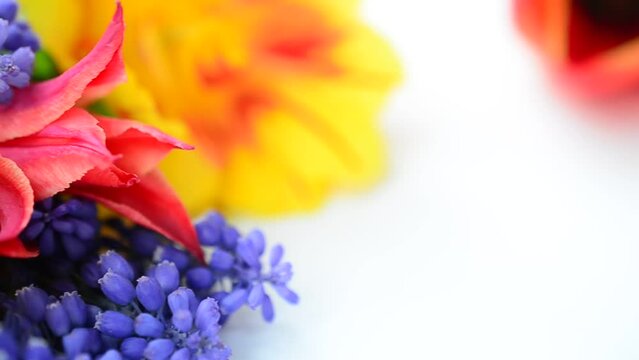 Shooting on a white background. Spring bouquet