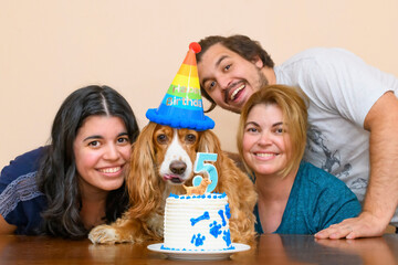 Latin American family celebrating the birthday of their pampered dog pet