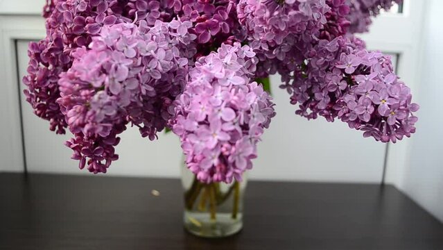Shooting in the afternoon. Spring lilac, bouquet in