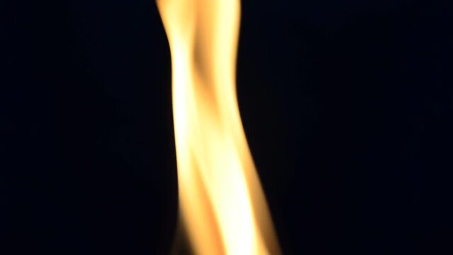 Fire on a black background. Fire and flame
