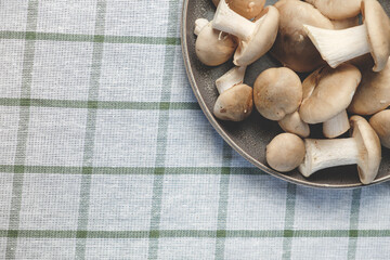 Fresh forest mushrooms in a plate on a striped towel, flat lay . Space for text. Top view