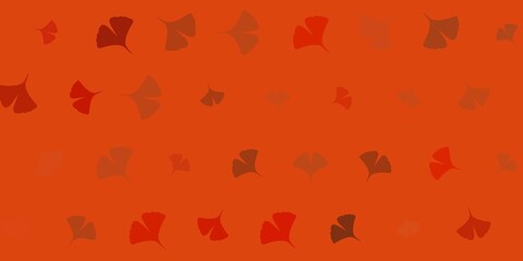 いろいろな銀杏です