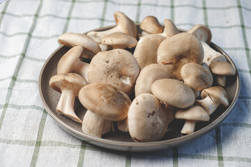 Fresh forest mushrooms in a plate on a striped towel. Top view