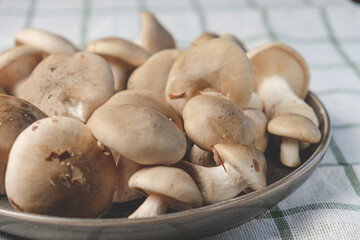 Fresh forest mushrooms in a plate on a striped towel. Top view